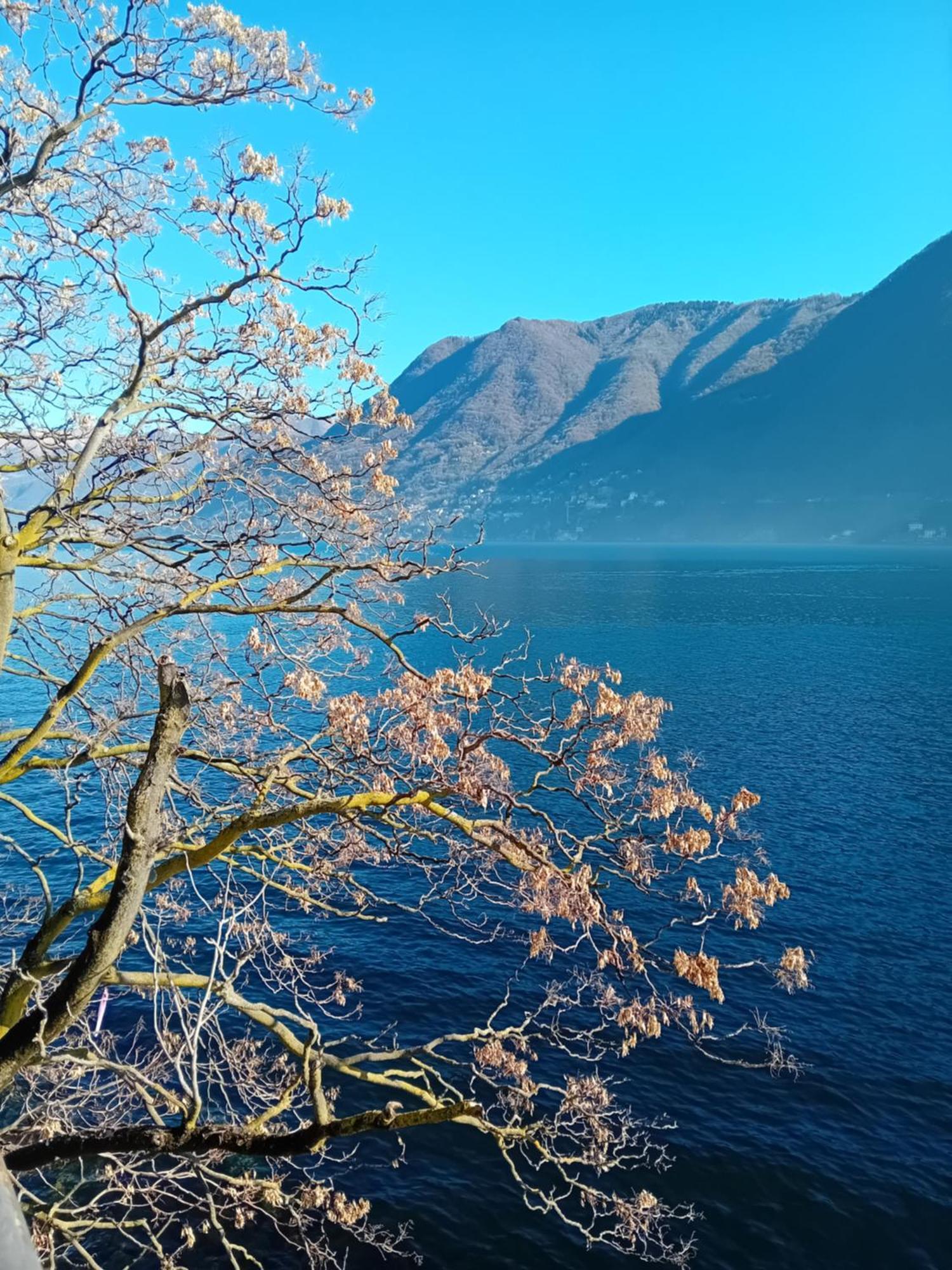 The Convo Lake Como Dış mekan fotoğraf